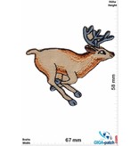 Deer - run
