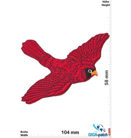 Red bird - Red Cardinal