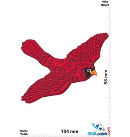 Red bird - Red Cardinal