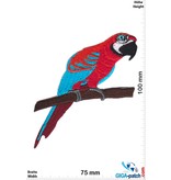 Papagei - rot blau