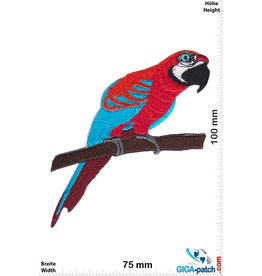 Papagei - rot blau