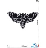 Totenkopf Skull Butterfly - Moth