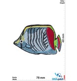 Fisch Fish - sea fish - blue red yellow