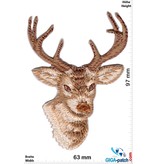 Deer  - Stag - 8 ender