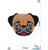 Hund young cute pug puppy - Dog