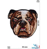 Bulldog Bulldog - Bulldogge - HQ Dog Head