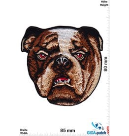 Bulldog Bulldog - Bulldogge - HQ Dog Head