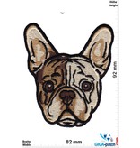 Hund French Bulldog Puppy Head - HQ