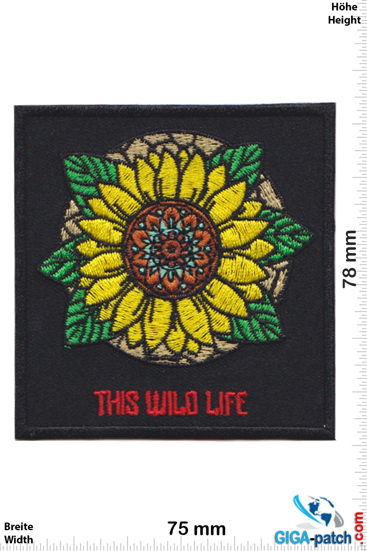 This Wild Life -  Acoustic pop-punk duo