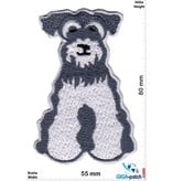 Hund Schnauzer - Dog