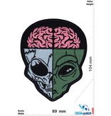 Alien Alien Skull - Head - HQ