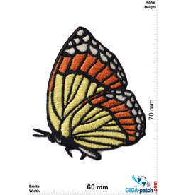 Schmetterling Butterfly - fly - red yellow