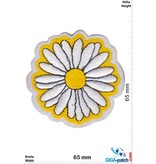 Daisies - small  - Margerite - Flower