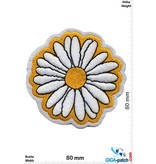 Daisies -  Margerite - Flower