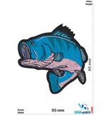 Fisch Barsch - Angeln Fischen - blau