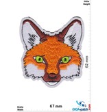 Fox - head