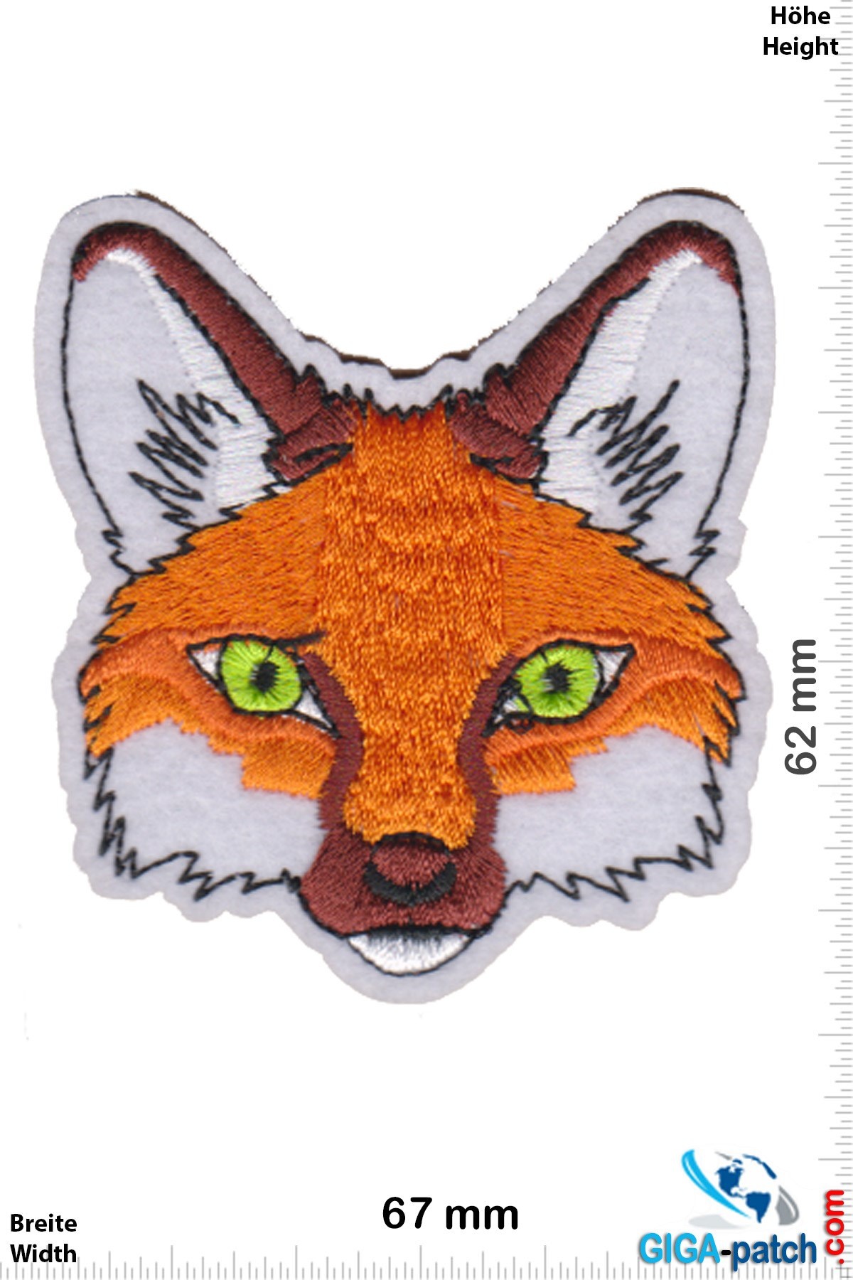 Fox - head