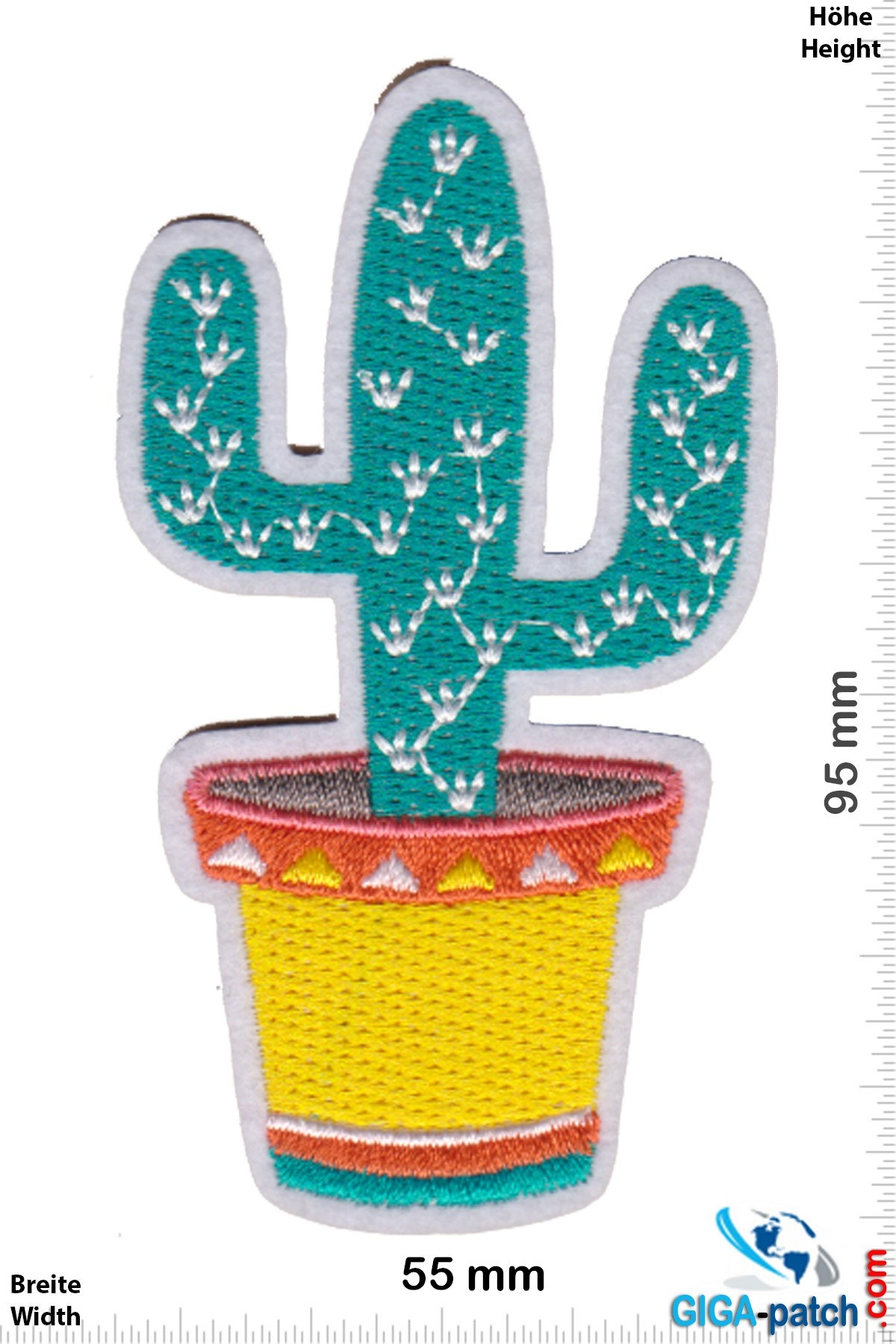 Fun Cactus in the pot