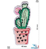 Fun Kaktus im Blüte