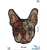 Hund Französische Bulldogge-Welpen Kopf - small