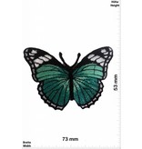 Schmetterling, Papillon, Butterfly Butterfly  -bluegreen