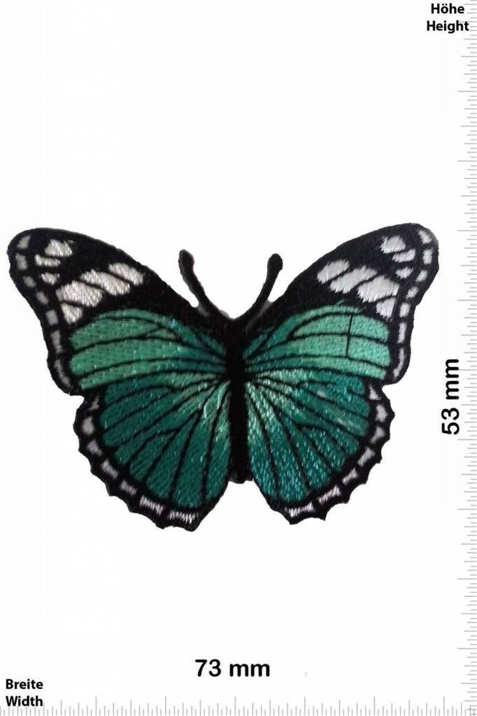 Schmetterling, Papillon, Butterfly Schmetterling -blaugrün