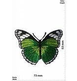 Schmetterling, Papillon, Butterfly Butterfly -  green