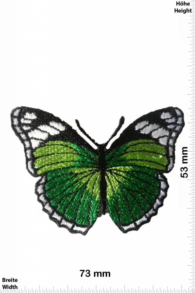 Schmetterling, Papillon, Butterfly Schmetterling - grün