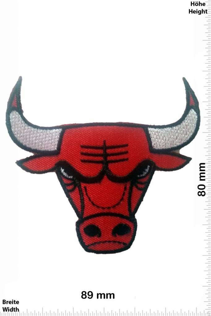 Chicago Bulls   Chicago Bulls