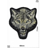 Err:520 Wolf -Wolfskopf - Böser Wolf