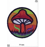 Magic Mushroom Pilze - Magic Mushroom