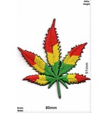 Marihuana, Marijuana Cannabis - Color - Marihuana - Hanf - Gras - Dope