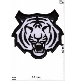 Totekopf  white Tiger