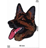 Schäferhund Dog - German Shepherd Dog