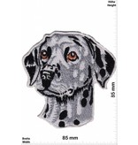 Hund Dalmatiner - HQ  Dog
