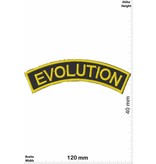 Evolution Evolution - curve - gold