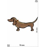 Hund Dachshund - Dog