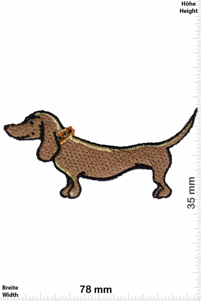 Hund Dachshund - Dog