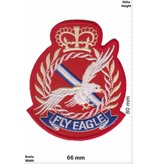 Fly Eagle Fly Eagle