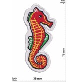 Seepferdchen Seahorse