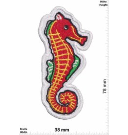 Seepferdchen Seahorse