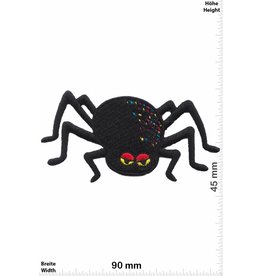 Kids Little Spider