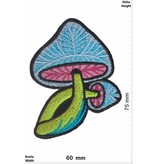 Magic Mushroom Magic Mushroom - Pilze