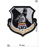 Army 6441st TAC FIGHTER WING - HQ