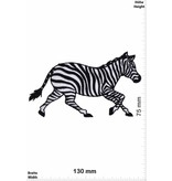 Zebra Zebra