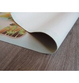 Grote speelmat dinosaurus 100x150cm