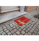 Kokosmat met print 40x60cm