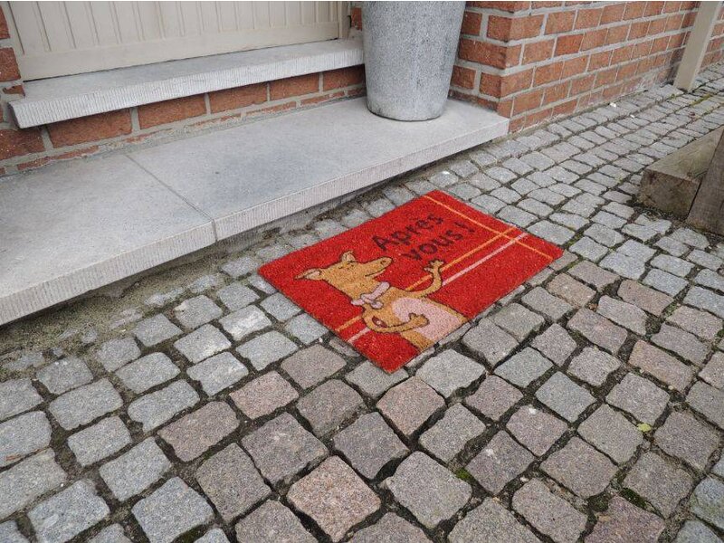 Kokosmat met print 40x60cm
