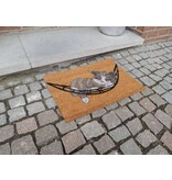 Goedkope kokosmat met print 40x60cm