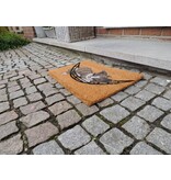 Goedkope kokosmat met print 40x60cm
